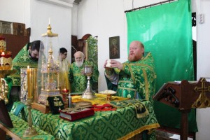 Праздник Святой Троицы, 31 мая 2015г.